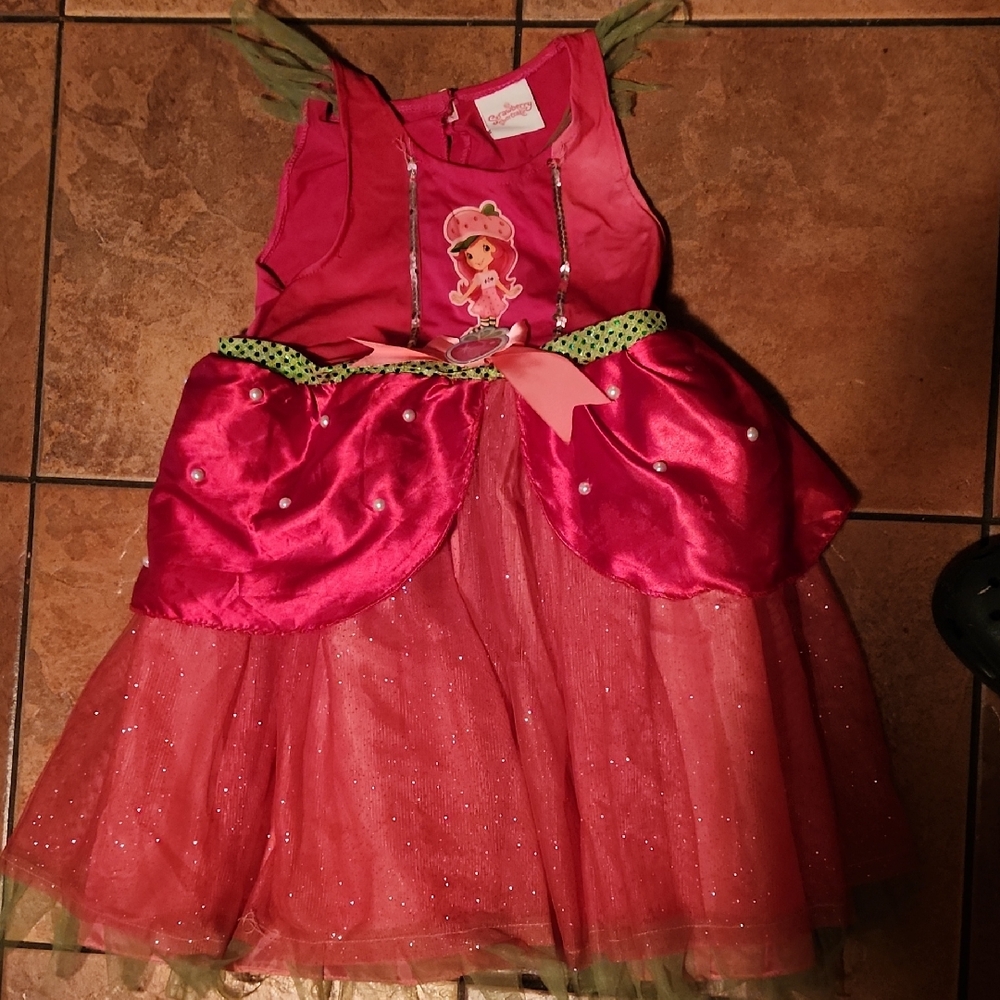 Charming Pink and Green Kids Costume Dress